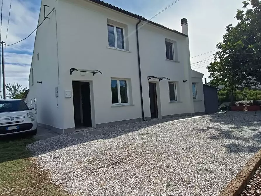 Immagine 1 di Rustico / casale in vendita  a Polesella