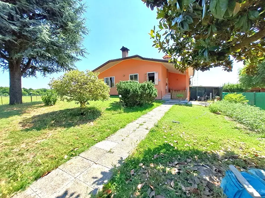 Immagine 19 di Casa indipendente in vendita  a Rovigo