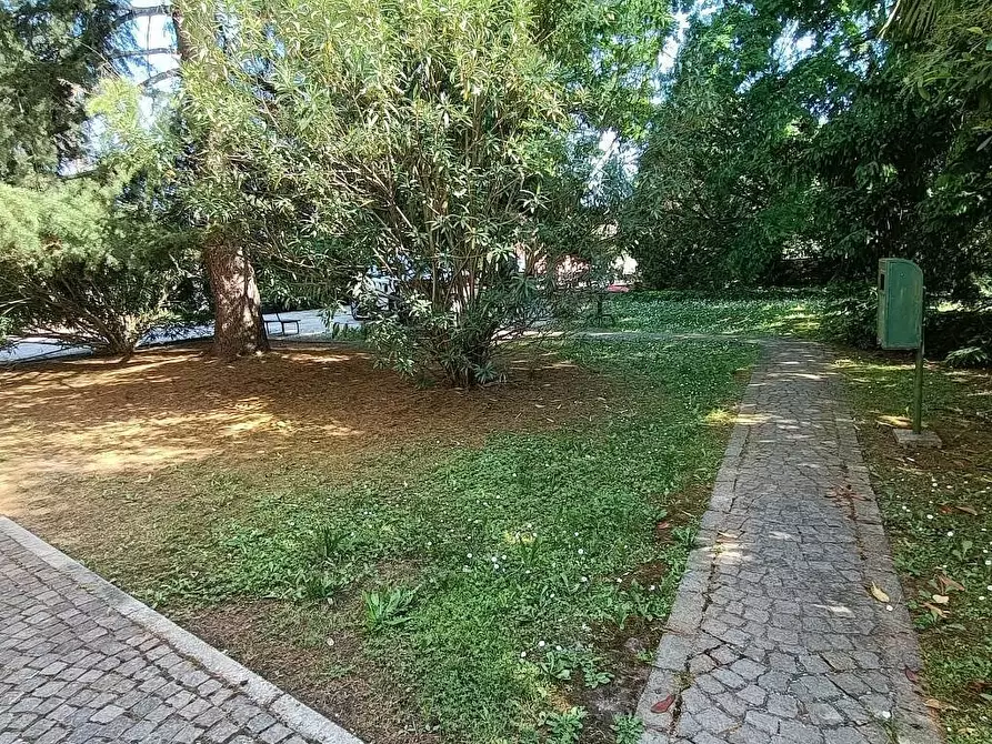 Immagine 7 di Casa indipendente in vendita  a Arqua' Polesine