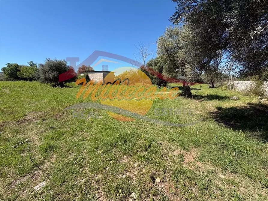 Immagine 2 di Villa in vendita  in CONTRADA MONASTERI a Siracusa