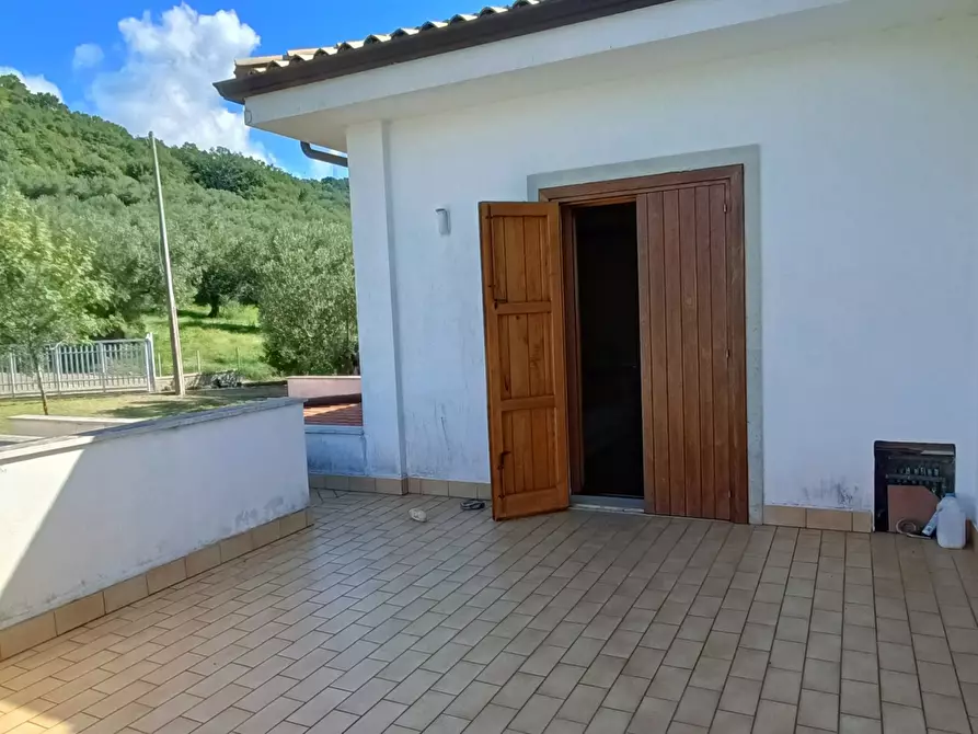 Immagine 9 di Villa in vendita  in SP79 a Feroleto Antico