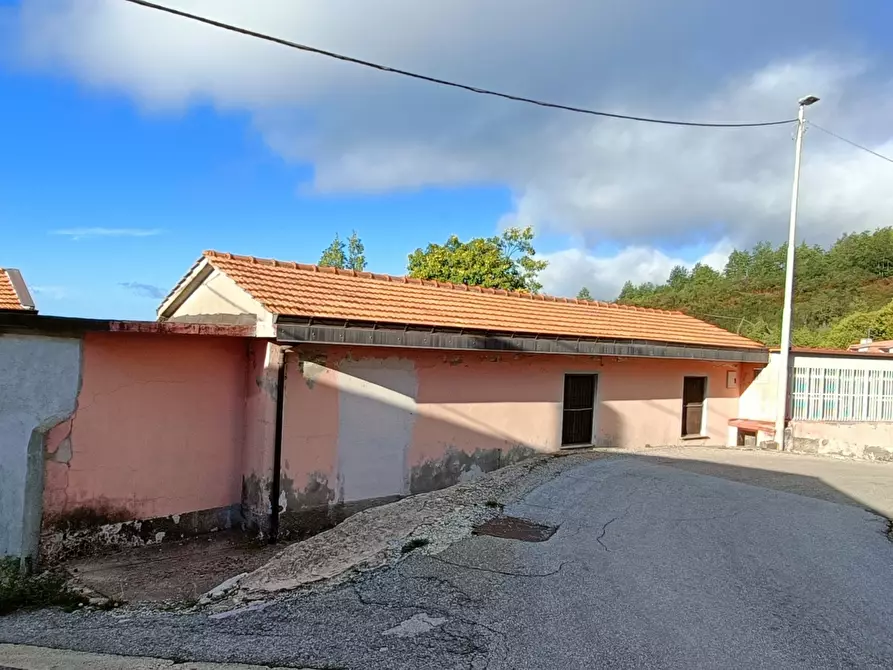 Immagine 2 di Showroom in vendita  in san mazzeo a Conflenti