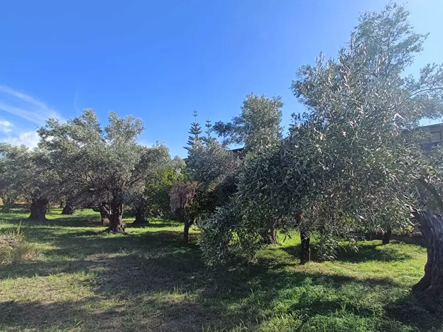 Immagine 3 di Terreno edificabile in vendita  in Via Giuseppe Saragat a Lamezia Terme