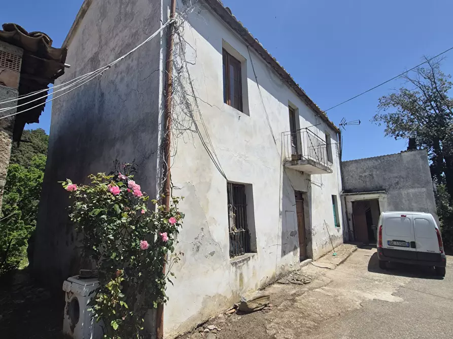 Immagine 1 di Casa indipendente in vendita  in Contrada San Filippo 7 a Pianopoli