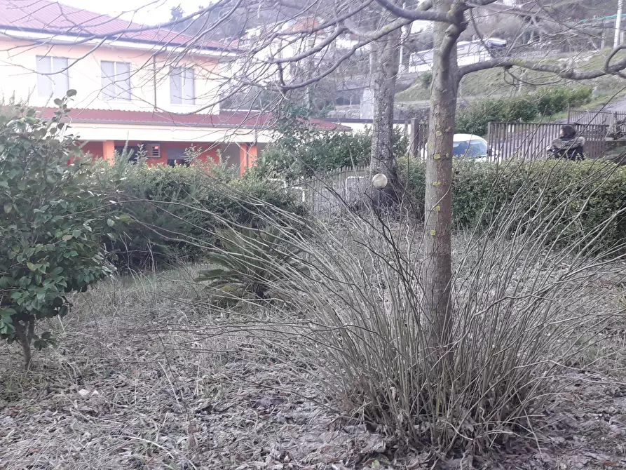 Immagine 14 di Porzione di casa in vendita  in Strada Provinciale 93 a Martirano Lombardo