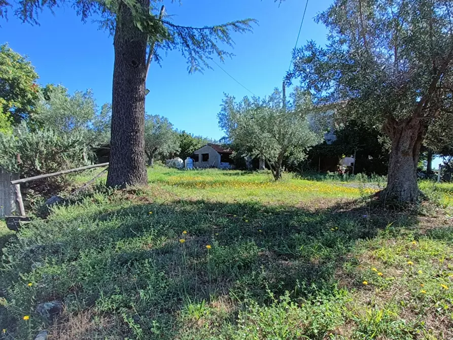 Immagine 19 di Palazzo in vendita  in Contrada Tavano a Pianopoli