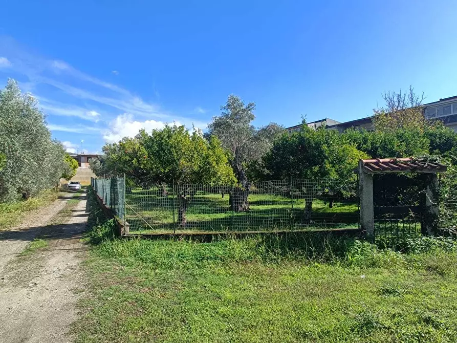 Immagine 2 di Terreno edificabile in vendita  in Via Giuseppe Saragat a Lamezia Terme