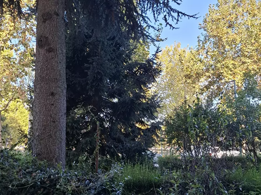 Immagine 26 di Trilocale in vendita  in corso unione sovietica 371 a Torino