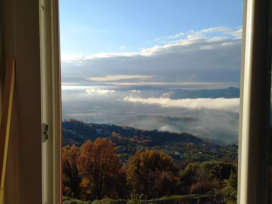 Immagine 8 di Trilocale in affitto  a Bolano