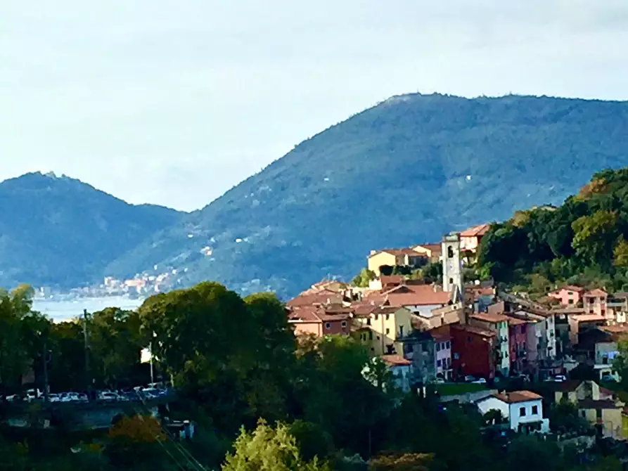 Immagine 28 di Terratetto in vendita  a Arcola