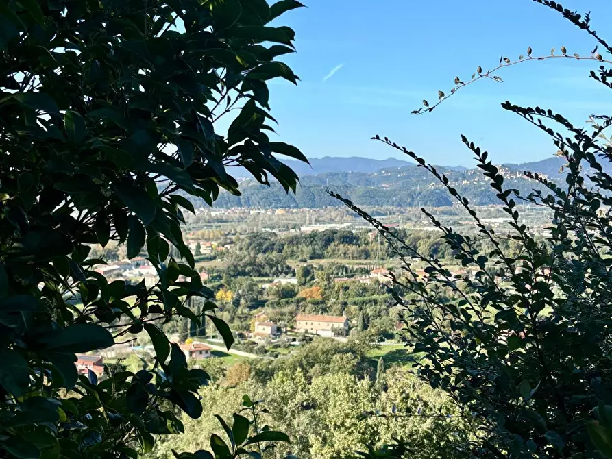 Immagine 8 di Villa in vendita  a Sarzana