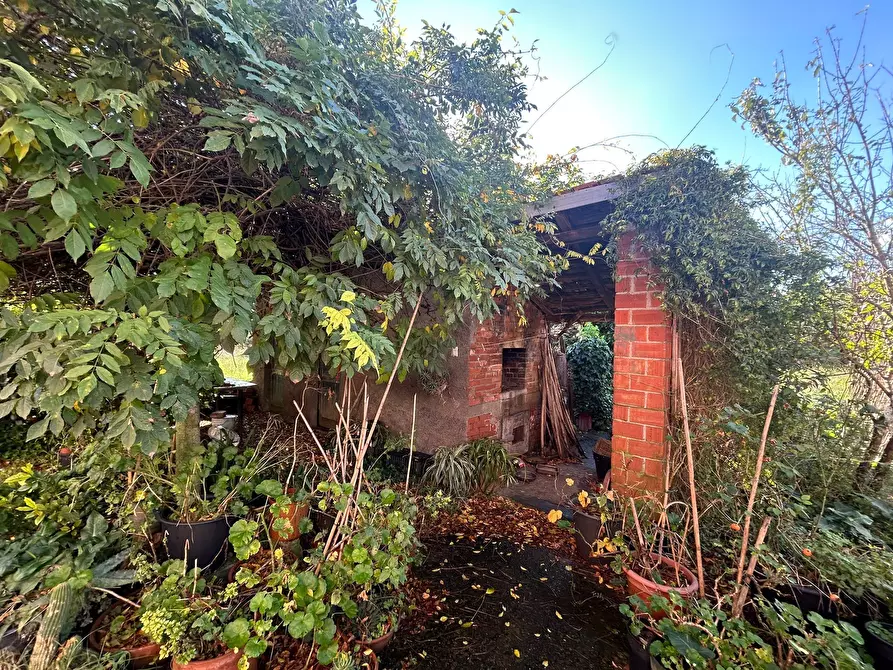 Immagine 21 di Rustico / casale in vendita  a Sarzana