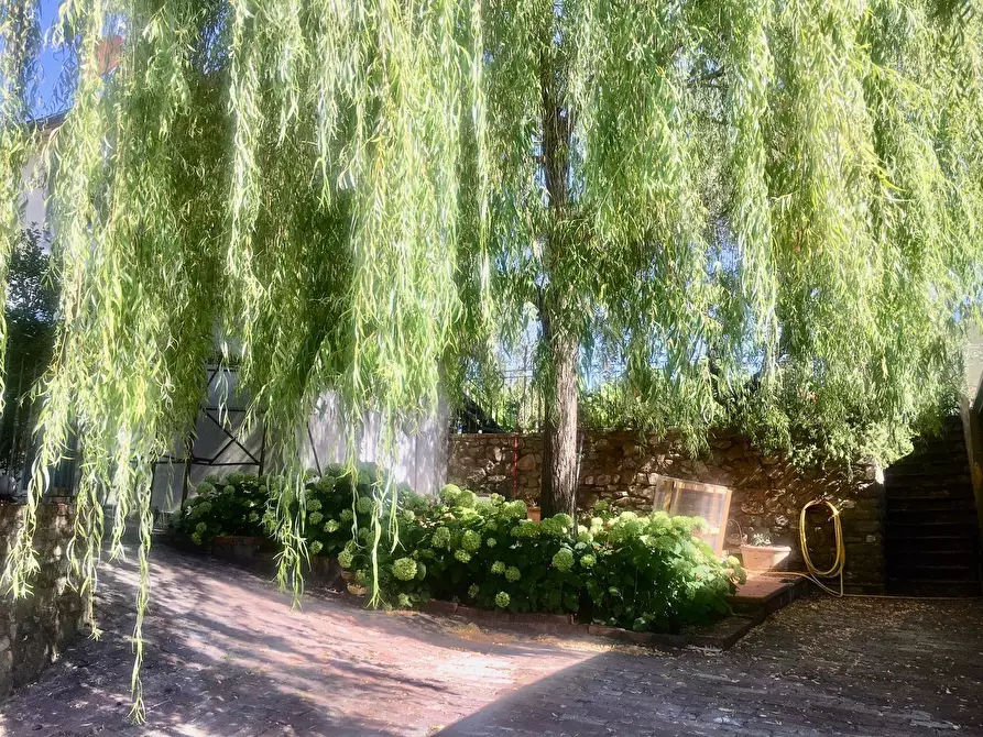 Immagine 8 di Agriturismo in vendita  a Castelnuovo Magra