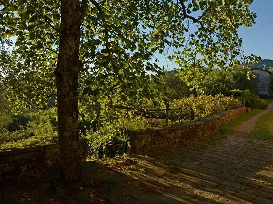 Immagine 45 di Villa in vendita  a Sarzana