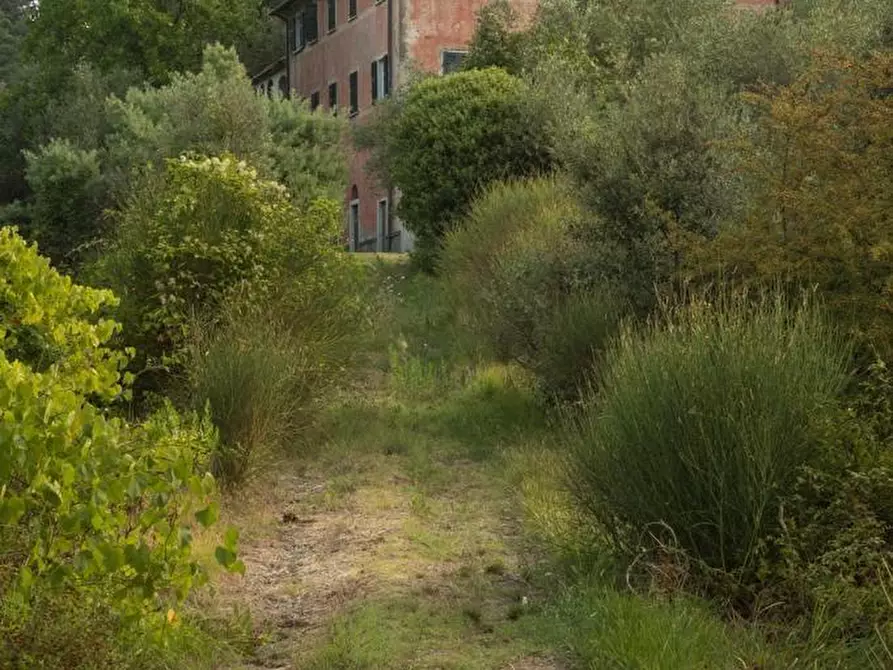 Immagine 75 di Villa in vendita  a Sarzana