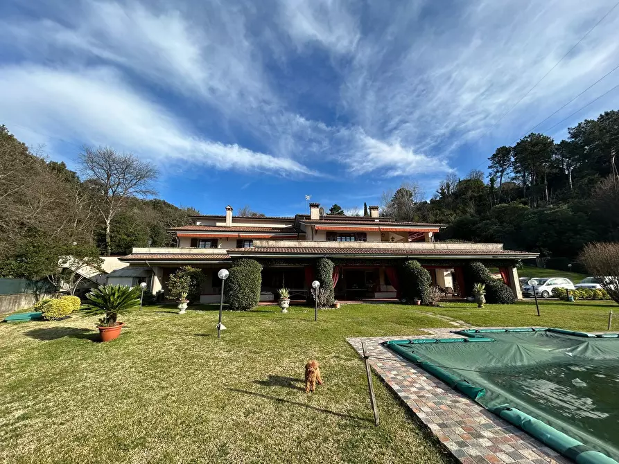 Immagine 3 di Casa bifamiliare in vendita  a Sarzana