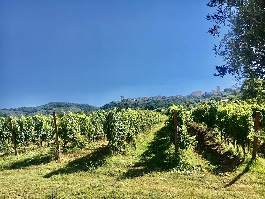 Immagine 23 di Rustico / casale in vendita  a Castelnuovo Magra