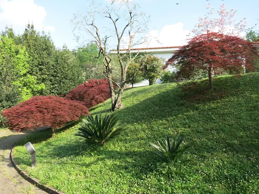 Immagine 26 di Villa in vendita  a Sarzana