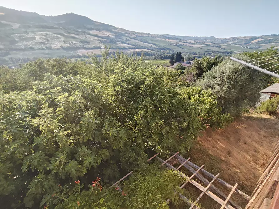 Immagine 35 di Casa indipendente in vendita  in Località Bilegno 29 a Pianello Val Tidone