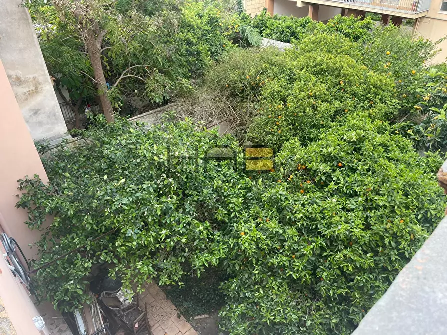 Immagine 7 di Bilocale in affitto  a Erice