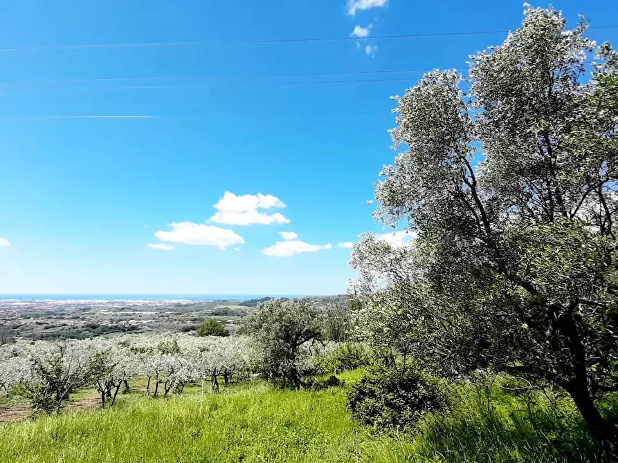 Immagine 12 di Terreno agricolo in vendita  in via contrada maiano a Montecorvino Rovella