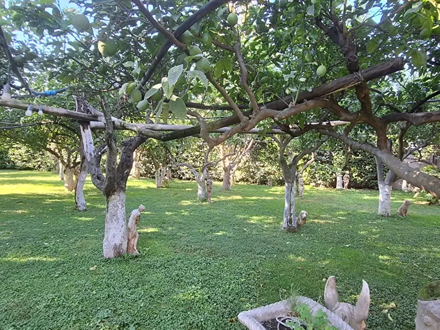 Immagine 16 di Villa in vendita  in Via Madonna di Fatima 18 a Pagani