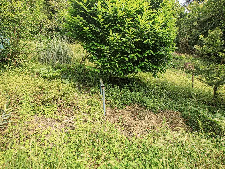 Immagine 44 di Bilocale in vendita  in Salita Castrofino a Genova