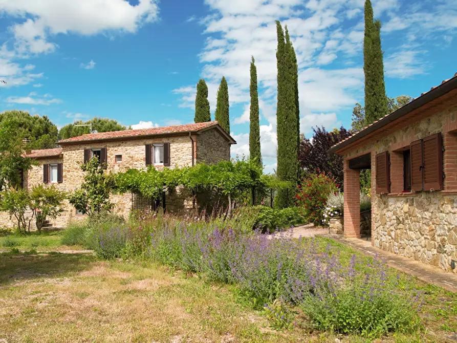 Immagine 14 di Rustico / casale in vendita  in vicolo dei fossi 2/C a Scansano