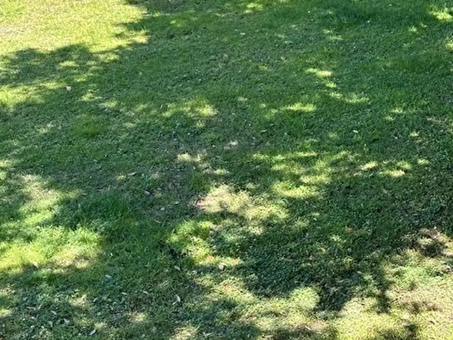 Immagine 25 di Porzione di casa in vendita  in Cala Piccola snc a Monte Argentario