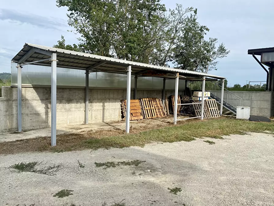 Immagine 13 di Magazzino in vendita  in località dalmazzoni 1 a Niella Tanaro