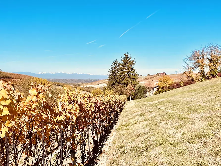 Immagine 14 di Rustico / casale in vendita  in Località Panate 18 a Farigliano