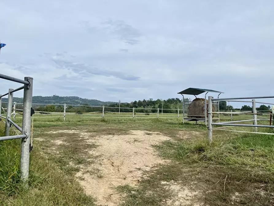 Immagine 14 di Magazzino in vendita  in località dalmazzoni 1 a Niella Tanaro