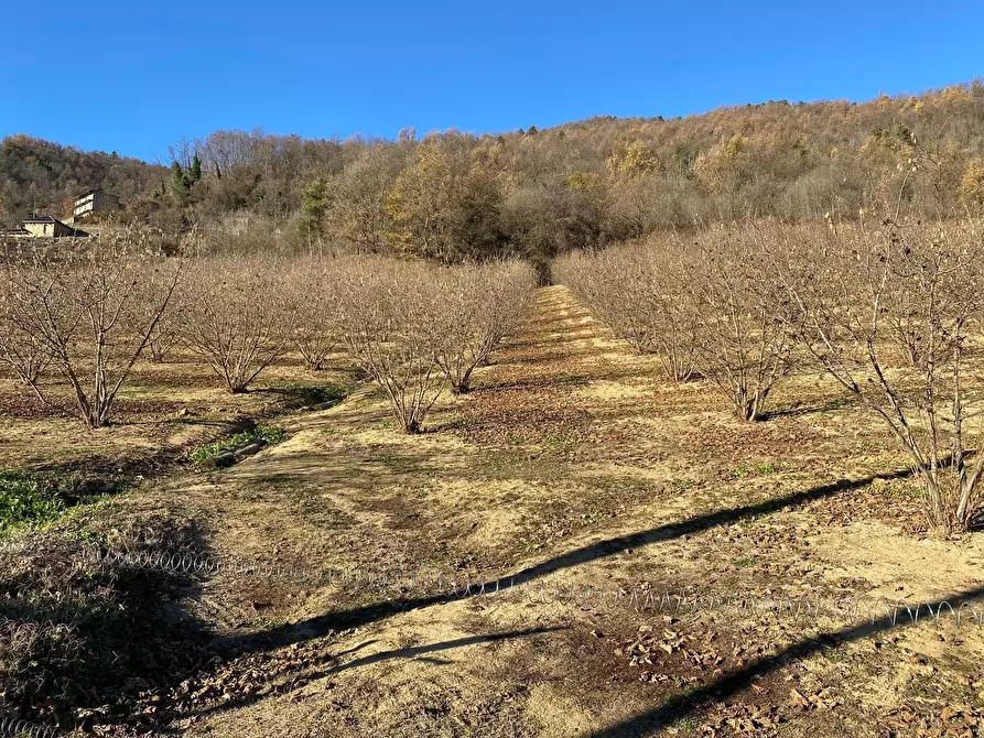 Immagine 28 di Rustico / casale in vendita  in Frazione Robertiero 14 a Gorzegno