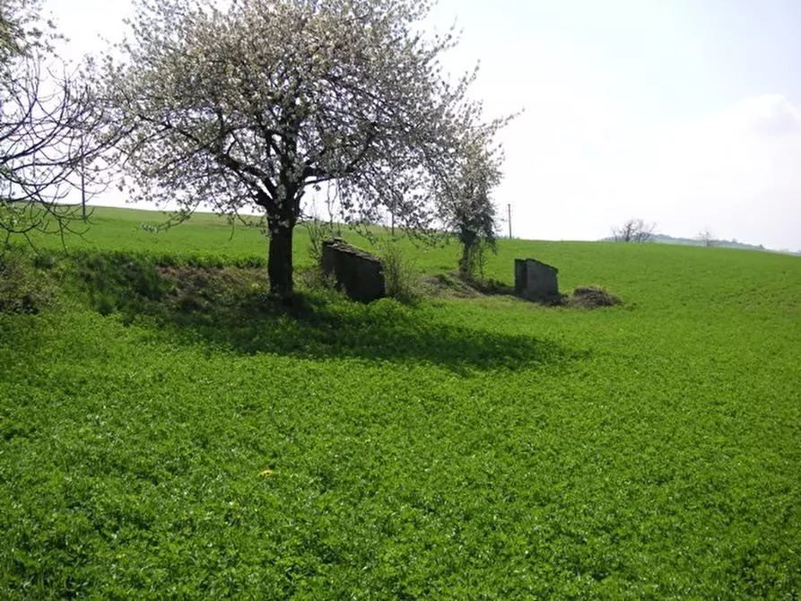 Immagine 9 di Rustico / casale in vendita  in Via Rea Sottana a Murazzano