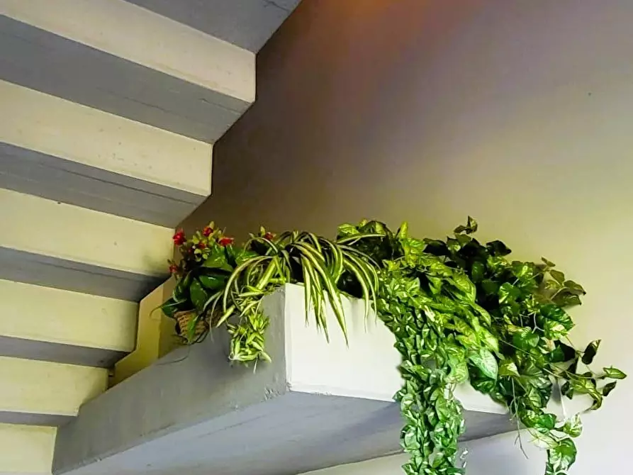 Immagine 34 di Quadrilocale in vendita  in Via Pietro Nenni 38 a Fontanellato