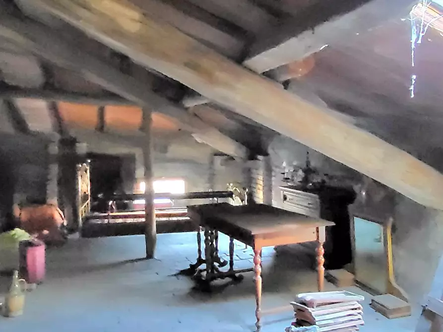 Immagine 38 di Villa in vendita  in Strada Cornazzano 3 a Sissa Trecasali