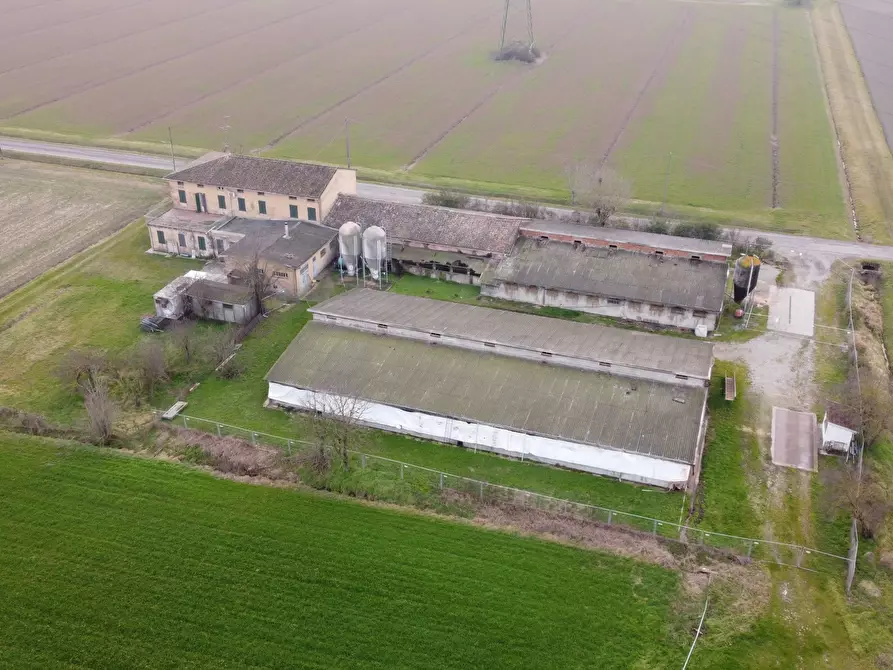 Immagine 3 di Azienda agricola in vendita  in Via al Serraglio 35 a Colorno