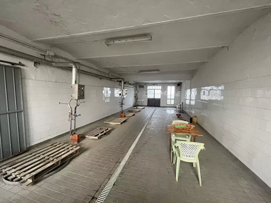 Immagine 12 di Azienda agricola in vendita  in Via al Serraglio 35 a Colorno