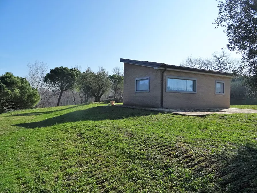 Immagine 4 di Terreno agricolo in vendita  a Senigallia