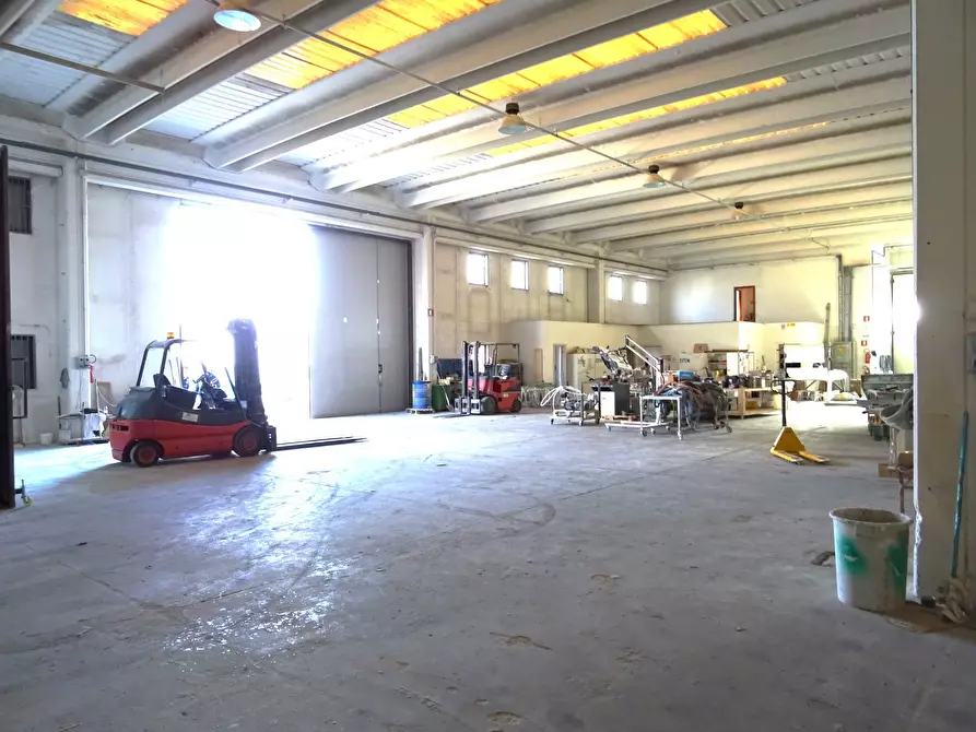 Immagine 5 di Attività artigianale in vendita  a Monte Porzio