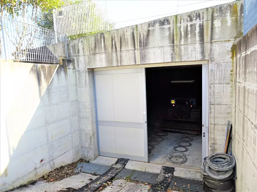 Immagine 7 di Terreno agricolo in vendita  a Senigallia