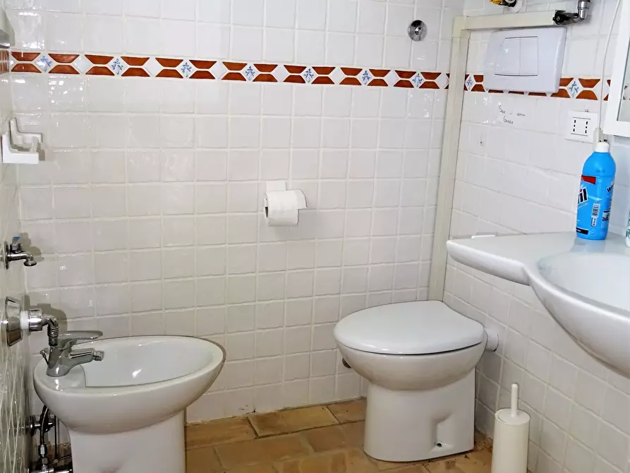 Immagine 10 di Terreno agricolo in vendita  a Senigallia