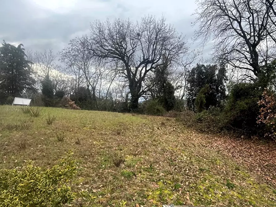 Immagine 5 di Terreno industriale in vendita  a Trecastelli