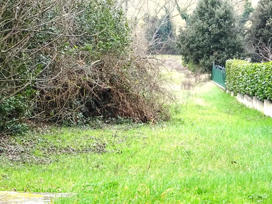 Immagine 31 di Casa bifamiliare in vendita  a Senigallia