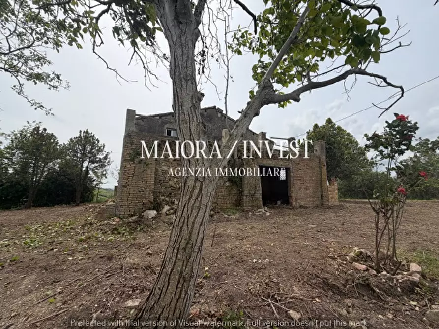 Immagine 6 di Rustico / casale in vendita  a Acquaviva Picena
