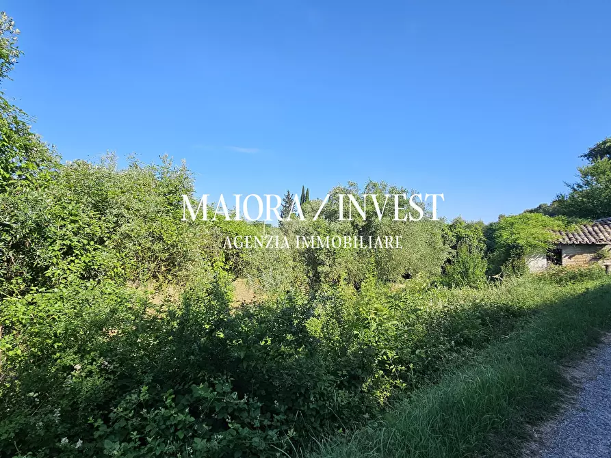 Immagine 14 di Terreno agricolo in vendita  in Contrada Pianelle a Monsampolo Del Tronto