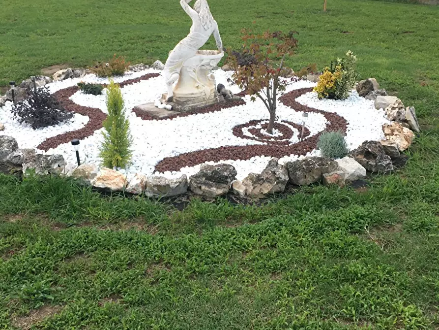 Immagine 17 di Casa bifamiliare in vendita  in Via Veniera 24 a Rovigo