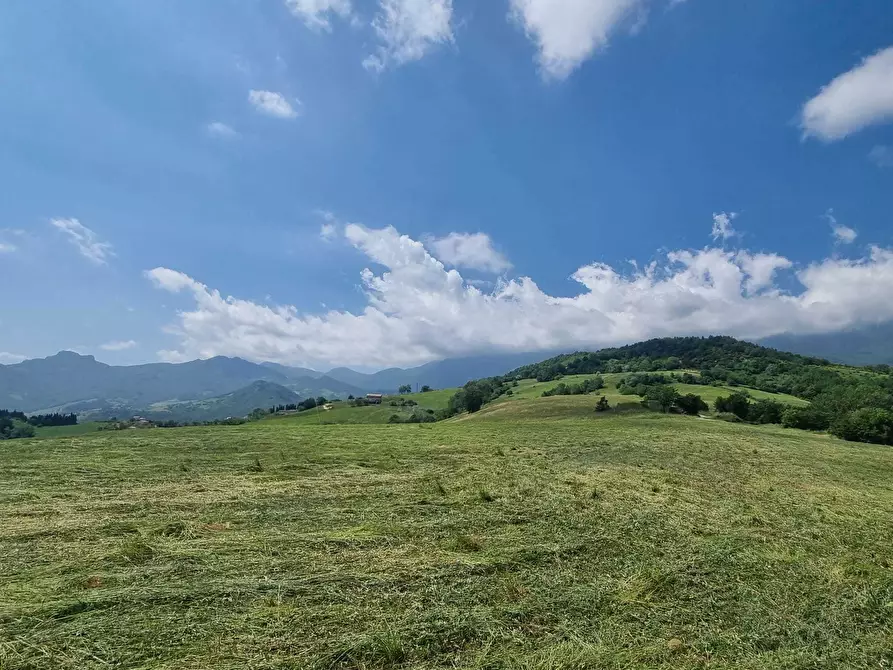 Immagine 36 di Terreno agricolo in vendita  a Farindola