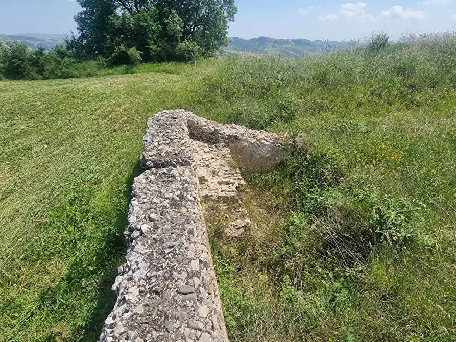 Immagine 34 di Terreno agricolo in vendita  a Farindola