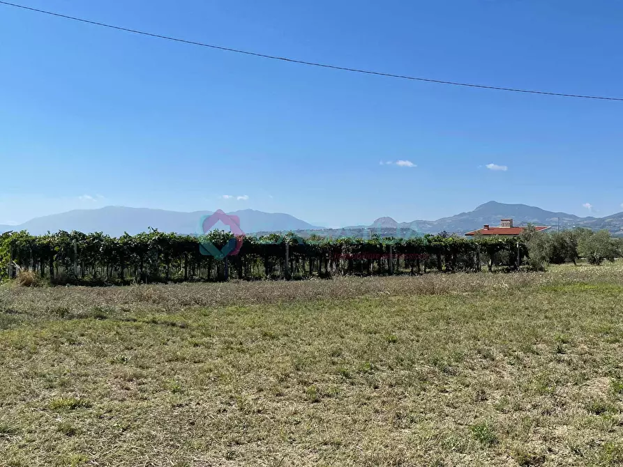 Immagine 4 di Casa indipendente in vendita  a Civitella Casanova